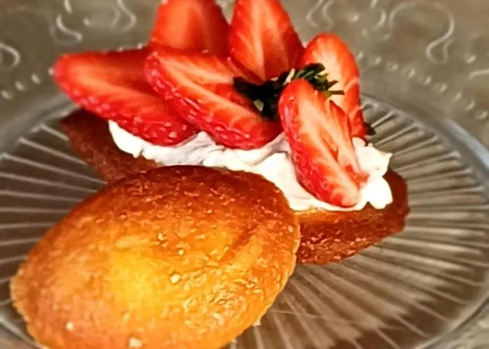 Clos Baroanni - La Voliere 게스트하우스 Terraube